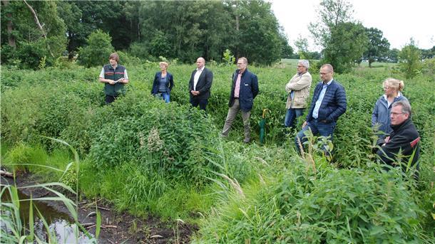 Ortstermin im Grünen: Auf einem Areal mit abgestorbenen Eschen im Forstort Falle soll sich ein Auenwald entwickeln. Landesforsten und Naturschutzstiftung haben ein kleines flaches Gewässer angelegt und Flatterulmen gepflanzt – Lebensraum für Tiere und Pflanzen.