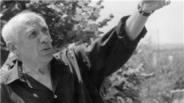Pablo Picasso starb vor 50 Jahren mit 91.