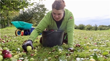 Packt bei der Apfelernte mit an: Gina Pfeiffer. Aus dem Obst lassen sich Speisen und Getränke herstellen, daneben verfolgt die Initiative soziale und ökologische Ziele.