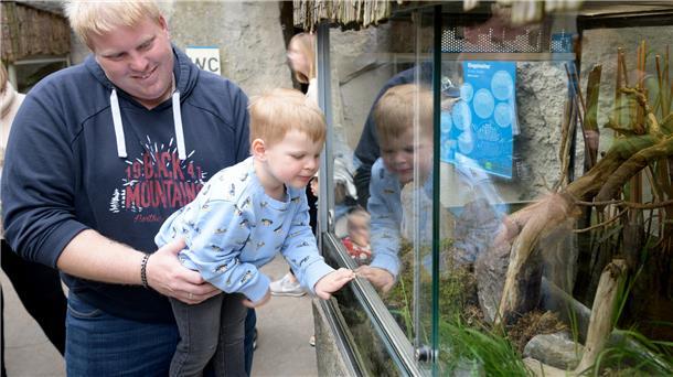 Patrick Schütte und Sohn John-Luca (3) auf der Suche nach der Ringelnatter. Ein Tier, das der Zoo am Meer auswildert.