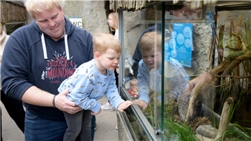 Patrick Schütte und Sohn John-Luca (3) auf der Suche nach der Ringelnatter. Ein Tier, das der Zoo am Meer auswildert.