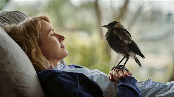 Berührend - wie „Penguin Bloom“ eine Familie rettete Penguin ist für die dreifache Mutter Sam (Naomi Watts) ein neues Familienmitglied.