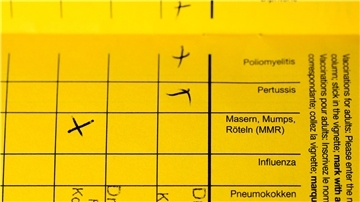 Impfausweis