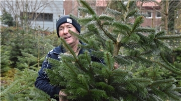 Ein Mann trägt einen Tannenbaum durch eine kleine Schonung.