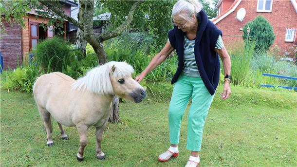 Pferd Frau Garten