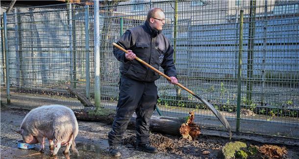 Philipp Schöller hat ursprünglich Zootierpfleger gelernt. Im Tierheim hat er es nun auch mal mit Schweinen zu tun.