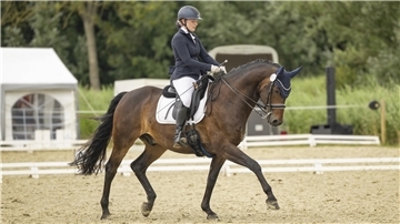 Pia Sophie Halle beim Dressurreiten