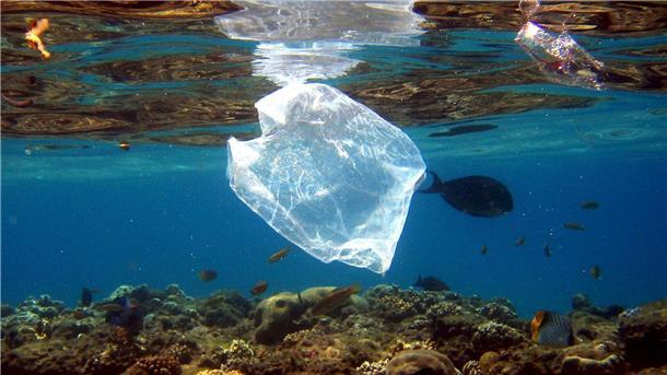 Recyclingquote bei Plastik bleibt global niedrig Plastik findet sich im Meer und in Tiermägen. (Archivbild)