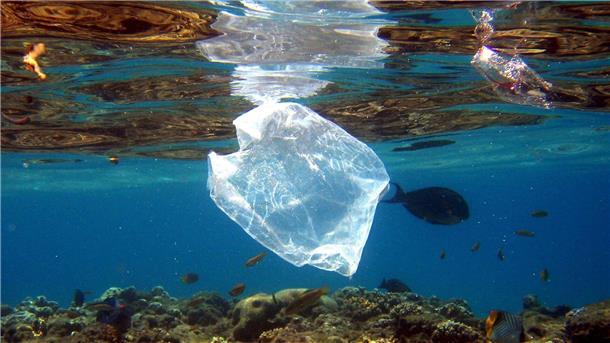 Studie: Bis zu elf Millionen Tonnen Müll auf dem Meeresgrund Plastikmüll ist ein großes Problem in den Meeren.