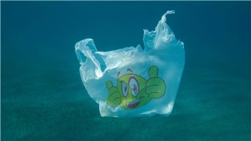 Plastiktüte im Meer. In Berlin kam der Runde Tisch Meeresmüll, der Handlungsempfehlungen gegen die Plastikverschmutzung von Nord- und Ostsee erarbeitet.