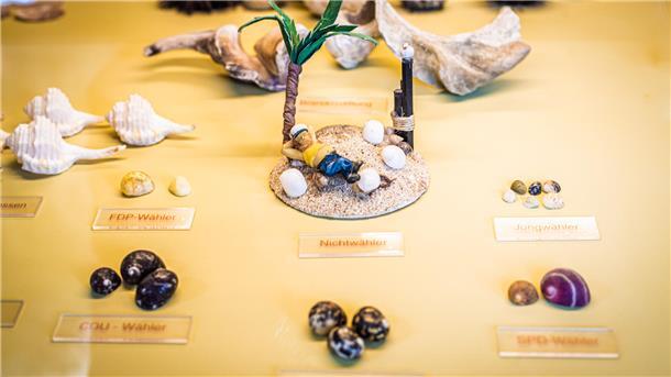 Muschelmuseum Wremen.