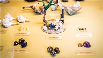 Muschelmuseum Wremen.
