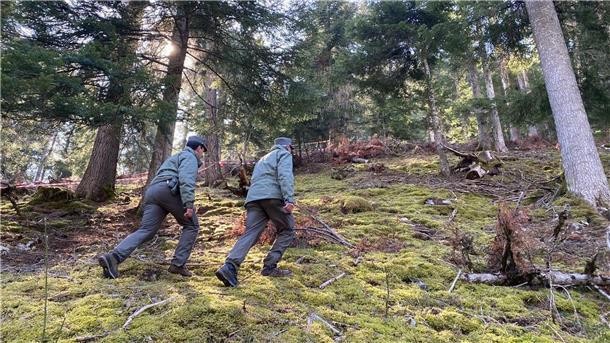 26-jähriger Jogger von Bär angegriffen und getötet Polizeibeamte im Wald im norditalienischen Caldes, wo ein Jogger von einem Bären angegriffen und getötet worden ist.
