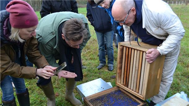 Menschen gucken in einen Bienenstock.
