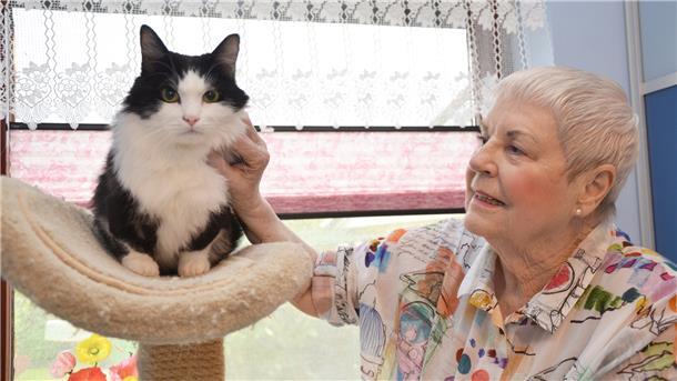 Puschel hat derzeit ein liebevolles Zuhause bei Ingrid Domhardt vom Tierschutz gefunden.