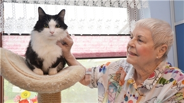 Puschel hat derzeit ein liebevolles Zuhause bei Ingrid Domhardt vom Tierschutz gefunden.