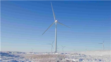 Ein Windpark in einer verschneiten, flachen Landschaft unter klarem, blauem Himmel. Im Vordergrund steht eine große Windkraftanlage, deren Rotorblätter in die Höhe ragen. Im Hintergrund sind mehrere weitere Windräder sichtbar.