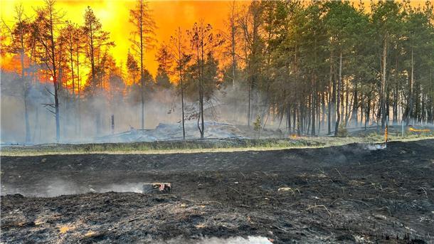Wie Europa sich gegen Waldbrände wappnet Rauch und Flammen steigen am 12. Juni in den Himmel aus einem Waldgebiet bei Lübtheen in Mecklenburg-Vorpommern.