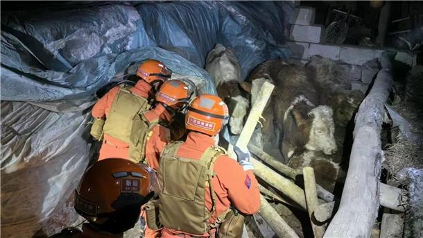 Drei Tote nach starkem Erdbeben in Nordwestchina Rettungskräfte in der Gemeinde Yamansu im Einsatz.