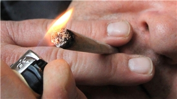 Rot-Grün-Rot hat in der Bürgerschaft einen weiteren Vorstoß zur Legalisierung von Cannabis unternommen. Der Senat soll für das Land Bremen einen Modellversuch beim Bund beantragen.