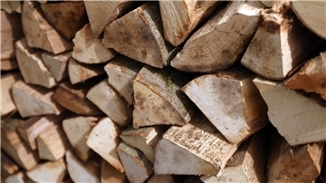 Rund 1,1 Millionen Haushalte in Deutschland nutzen Scheitholz, Holzpellets oder Holzhackschnitzel in Heizkesseln als primäre Energiequelle zum Heizen des kompletten Wohnraums.