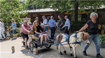 Rundfahrten mit der Ponykutsche begeisterten das junge Publikum bei der Feier zum 50-jährigen Bestehen des „Hauses am Paschberg“ in Wulsbüttel.