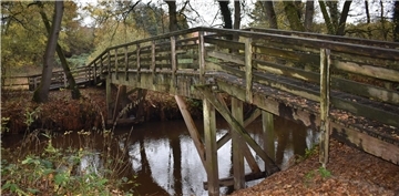 Eine Brücke aus Holz über einen kleinen Fluss.