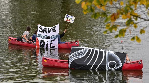 Save or Die: Jüngst war es in der Oder zu einem massenhaften Fischsterben kommen - die Umweltkatastrophe hatte zu Unstimmigkeiten zwischen Deutschland und Polen geführt.