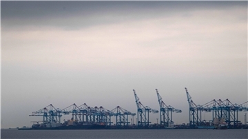 Schiffe liegen am Container-Terminal Bremerhaven. Das Stimmungsbarometer des Mannheimer Forschungsinstituts ZEW ist erneut gefallen.