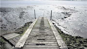 Schlick statt Wasser. Auch der Butjadinger Fischereiverein lehnt die geplante Weservertiefung ab.