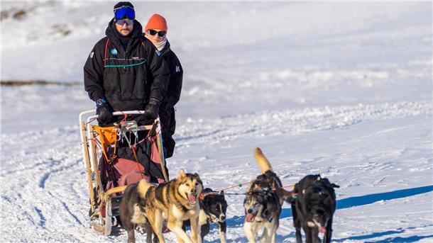 Kronprinzessin Mette-Marit wird 50 Schlittenfahrt in Spitzbergen: Kronprinz Haakon und Kronprinzessin Mette-Marit.