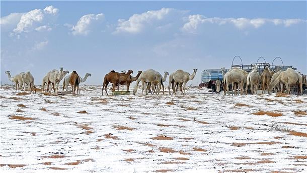 Schnee in Saudi-Arabien? Muss die Wesermarsch in Kürze mit dem Wintereinbruch rechnen?