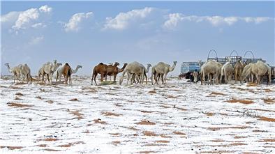 Schnee in Saudi-Arabien? Muss die Wesermarsch in Kürze mit dem Wintereinbruch rechnen?