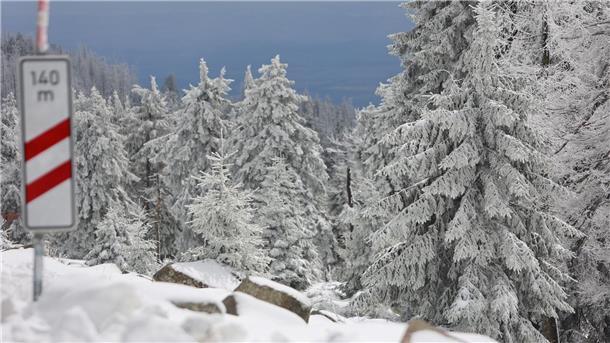 Winter im April - auch neue Woche wird kalt Schneebedeckt sind die Fichten auf dem Brocken. Eine Kaltwetterfront brachte in den höheren Lagen viel Schnee.