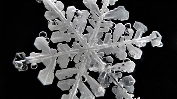 Paar verewigt Schneeflocken aus Antarktis und Arktis Schneeflocken haben sehr feine Strukturen.