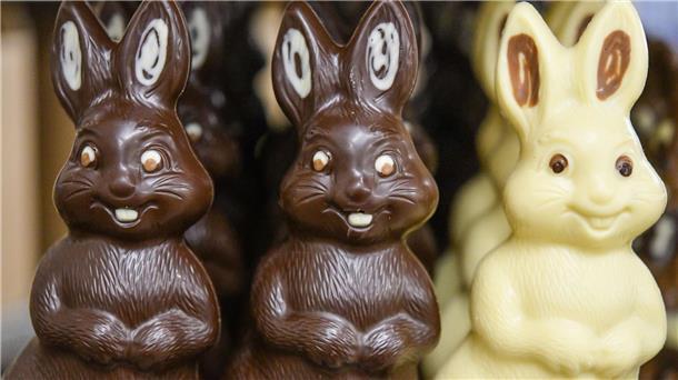 Rund 230 Millionen Schoko-Osterhasen für die Festtage Schokoladenhasen aus dunkler und heller Schokolade im Schokoladenland der Confiserie Felicitas.