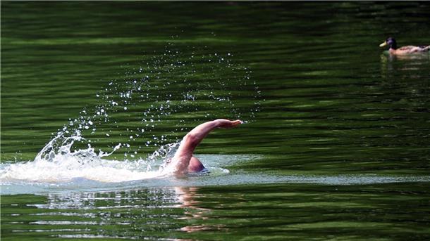 Schlau am Wasser: Teste dein Wissen! Schwimmer in Not: Direkt hinschwimmen oder aufmerksamer beobachten?