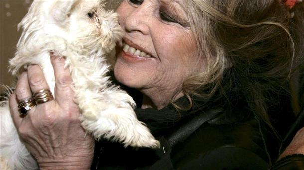 Die ewig Unbeugsame - Brigitte Bardot wird 90 Seit sie ihre Karriere als Schauspielerin beendet hat, widmet sie sich dem Tierschutz. (Archivfoto)
