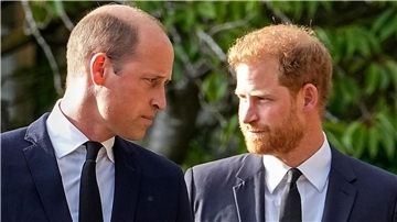 Seitdem sich Prinz Harry (r) vom britischen Königshaus gelöst hat, ist das Verhältnis zwischen ihm und seinem Bruder Prinz William eher angespannt.