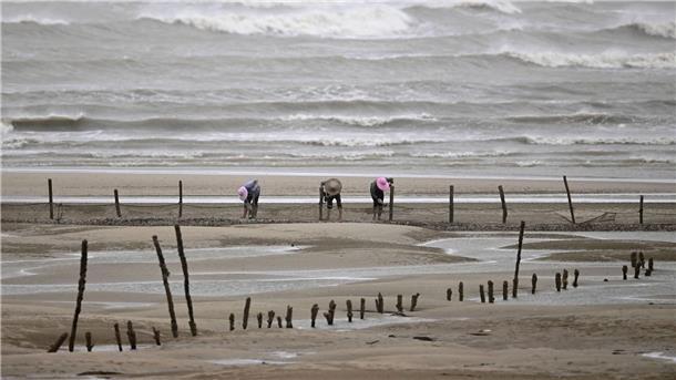 Sicherheit geht vor: Fischer beenden ihre Arbeit am Strand in Fuzhou.