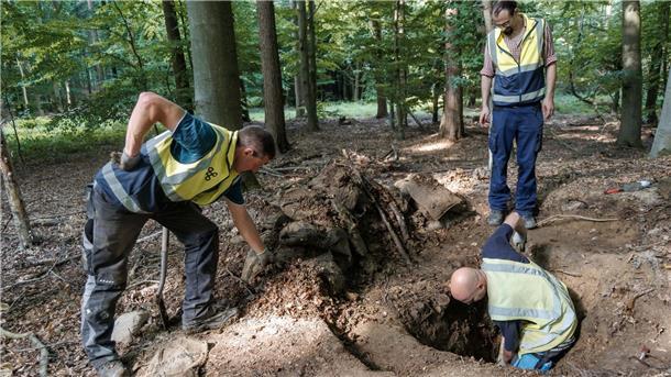 Panne: Soldaten errichten Stellung auf Grabhügel Sie gingen dabei zunächst von einer Raubgrabung aus.