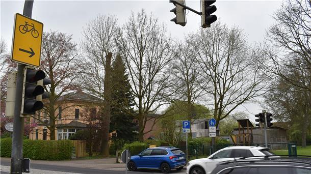 Sie soll möglichst bald wieder in Betrieb gesetzt werden: die Fußgängerampel vor dem Spielplatz an der Landesstraße in Ellwürden.
