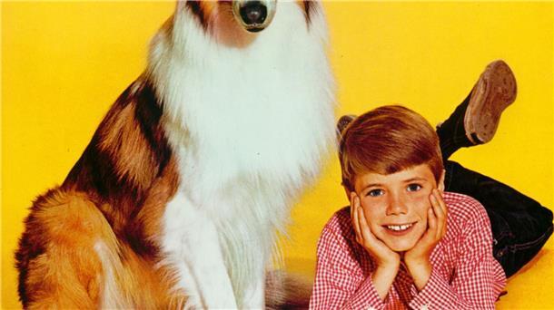 Timmy aus „Lassie“: Hundeliebhaber Jon Provost wird 75 Sieben Jahre lang stand der Kinderstar Jon Provost als Timmy vor der Kamera. (Handout)