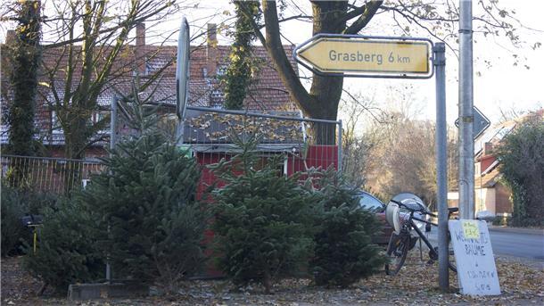 So unterschiedlich sind die Geschmäcker beim Weihnachtsbaum Baumstand