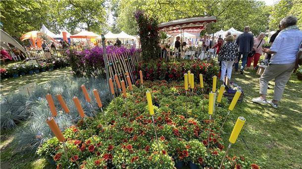 Kaiserwetter sorgt für Hochbetrieb bei der Landpartie in Nordenham So bunt ist die Landpartie in Nordenham.