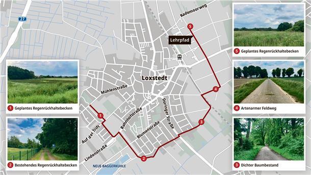 Starkregen unter der Lupe: Pilotprojekt gegen Fischsterben startet in Loxstedt So könnte das "Grüne Wasserband" in der Gemeinde Loxstedt eines Tages aussehen. Karte: Landkreis/Grafik Gausmann