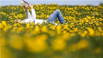 Das Foto zeigt einen auf einer Butterblumenwiese liegenden Mann, wie er ein Buch liest. 