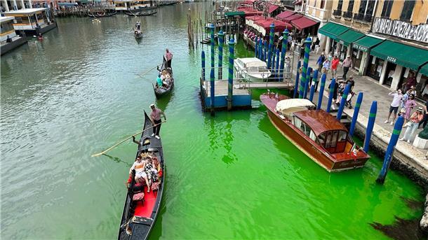 Grüner Canal Grande in Venedig: Grund wohl klar So sieht der Canal Grande von Venedig normalerweise nicht aus.