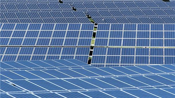 Europas Solarindustrie soll gestützt werden Solarmodule stehen in der Sonne.