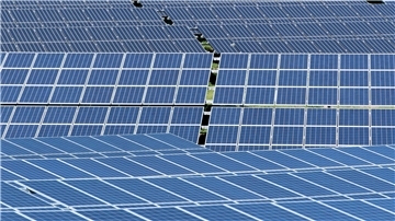 Solarmodule stehen in der Sonne.